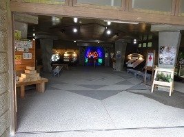 入口